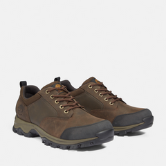 Men's Mt. Maddsen Waterproof Low Hiker Boot