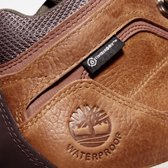 Men's Mt. Maddsen Waterproof Hiking Boot