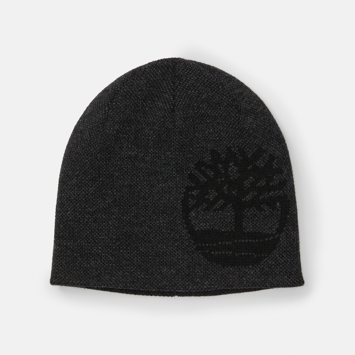 Reversible Logo Beanie