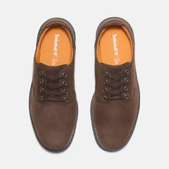 Men's Redwood Falls Waterproof Shoe
