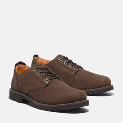 Men's Redwood Falls Waterproof Shoe